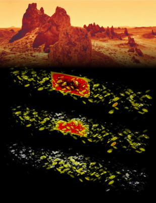 HPC simulations at the LRZ explore the behavior and hazards of successive earthquakes